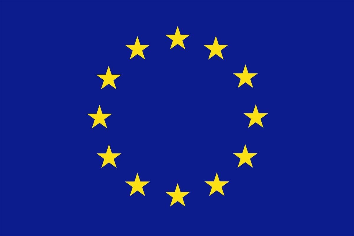 Acompanhamento de representantes da Comissão Europeia — Interpretação de acompanhamento — Turnip Portugal